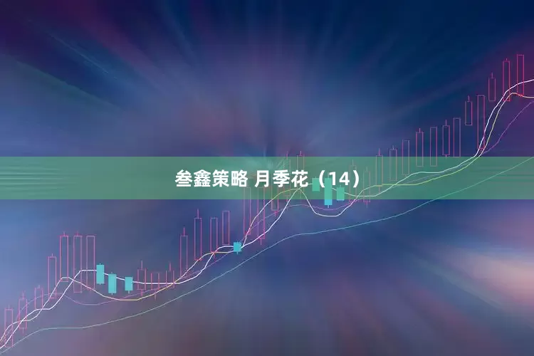 叁鑫策略 月季花（14）